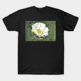 Ode to Georgia #5 - White Cosmos Flower T-Shirt